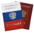 YW-02 Обложка на на паспорт "Триколор" YW-02 Обложка на на паспорт "Триколор"